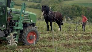 Prendre soin de la terre 